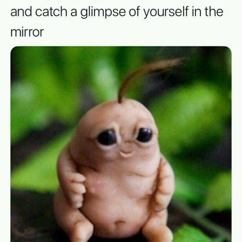 Meet your Posher, Annetha